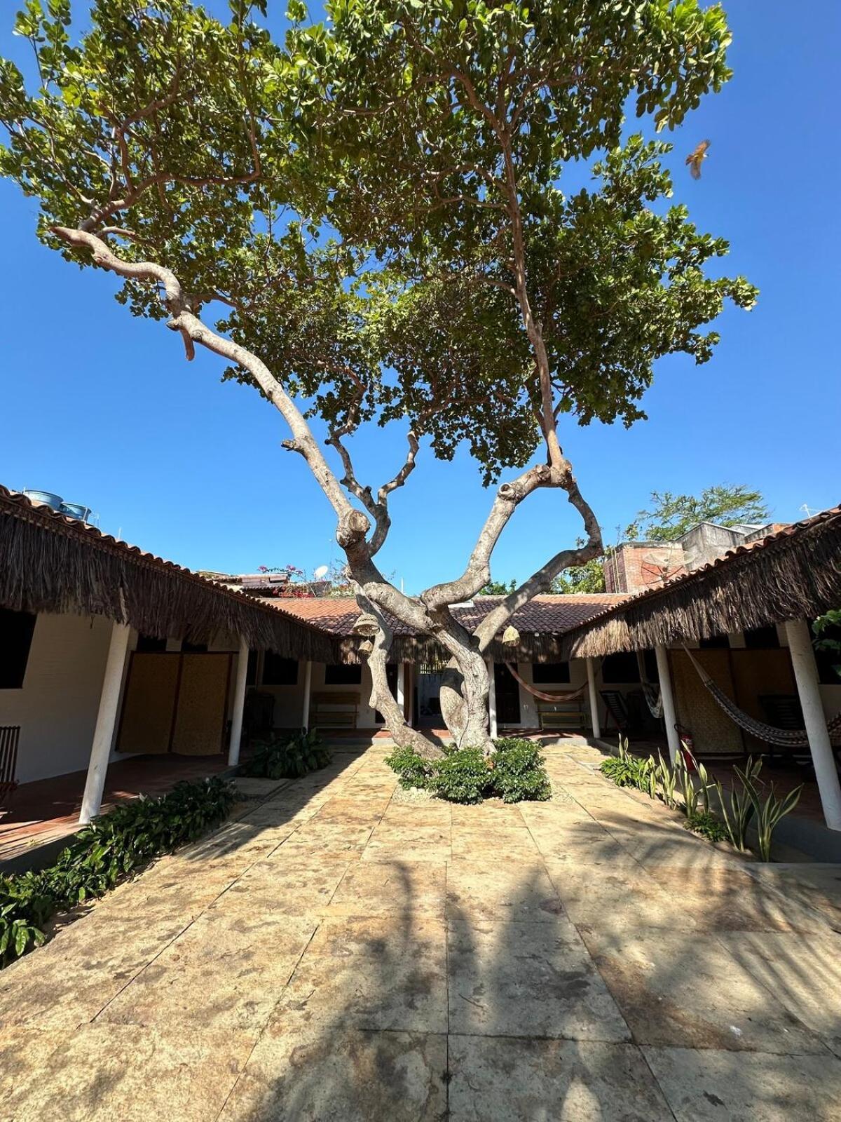 Vila Lua Aparts - Apartamento 1 Jijoca de Jericoacoara Εξωτερικό φωτογραφία
